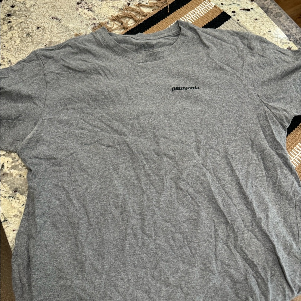 Patagonia shirt